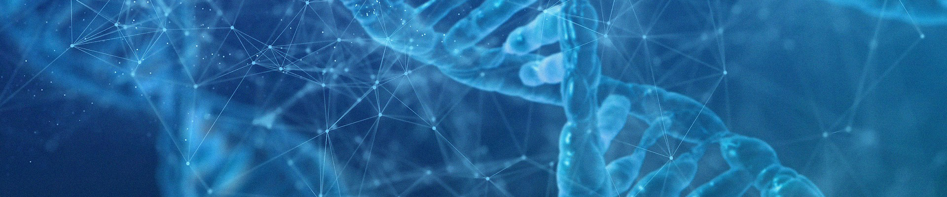 訂購(gòu)服務(wù)