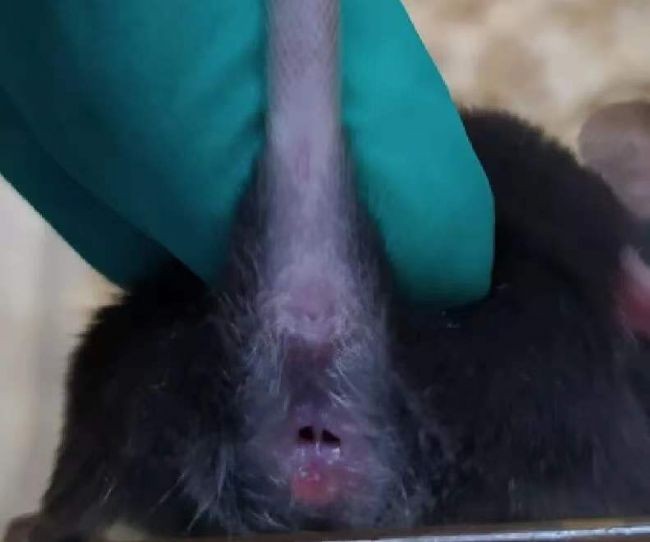 1760344905916046.jpg 2.jpg