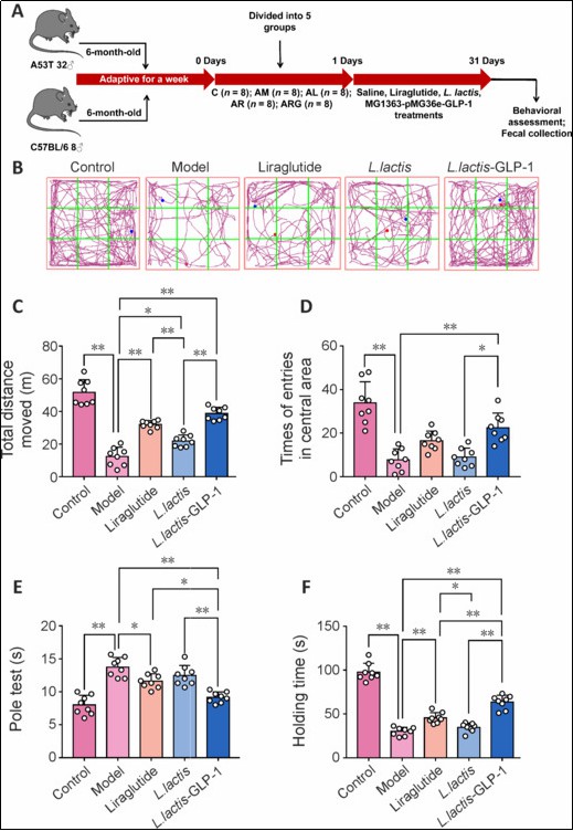 1760346897417052.jpg 2.jpg